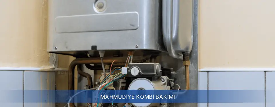 Mahmudiye İlçemi Beko Kombi Bakımı