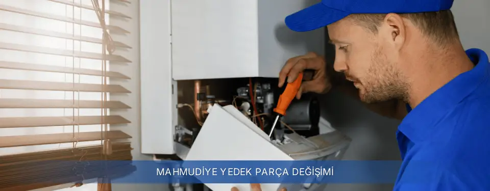 Mahmudiye İlçemi Beko Yedek Parça Değişimi